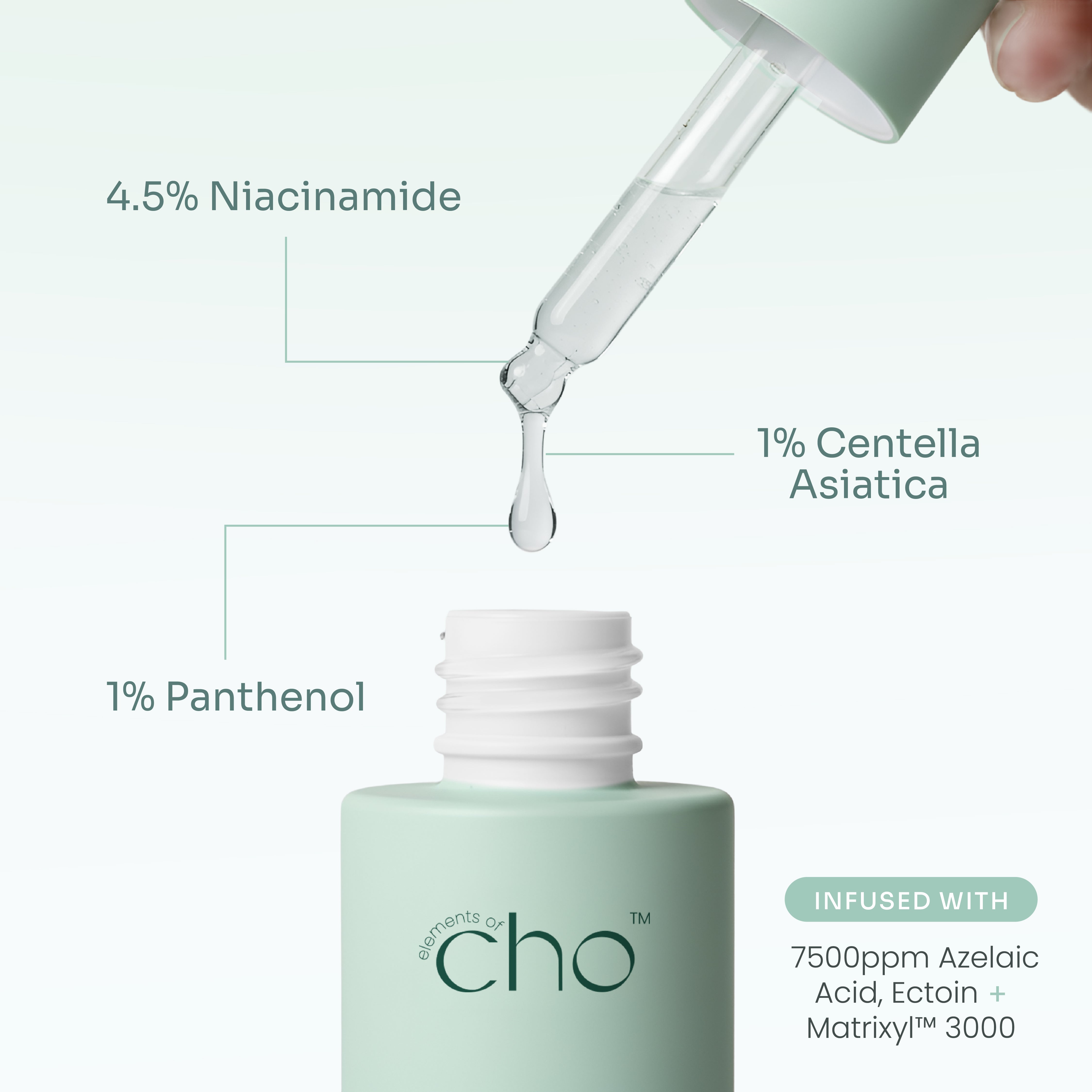 Barrier Duo – Elements of Cho