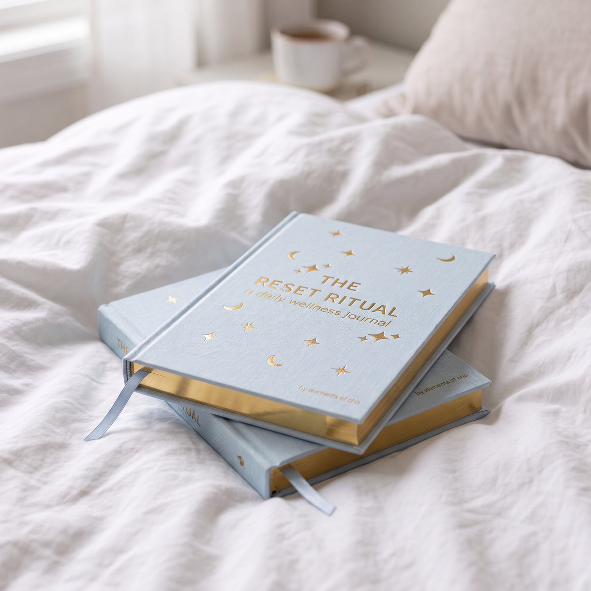 Daily Reset Journal