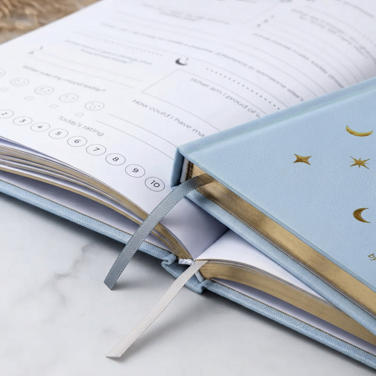 Daily Reset Journal